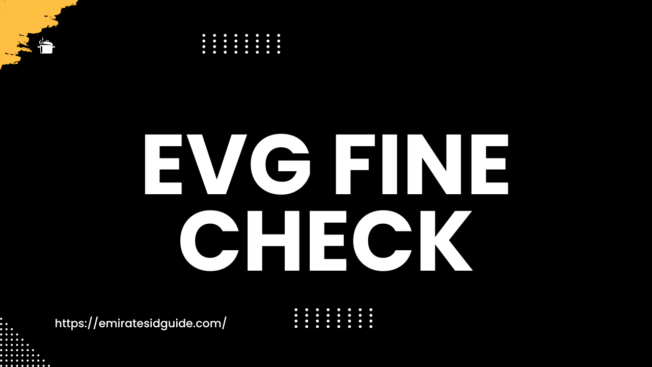 Read more about the article EVG Fine Check: Your Money’s Best Friend