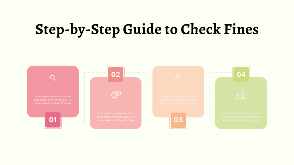 Step-by-Step Guide to Check Fines