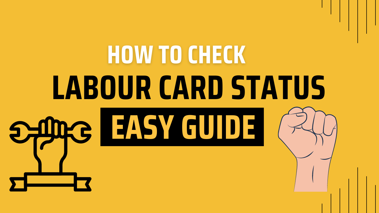 Read more about the article How to Check Labour Card Status: Easy Guide